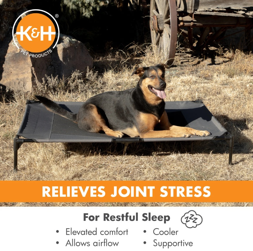 K&H Pet Products RealTree Original Pet Cot Large Camo 30 x 42 x 7 For Pet With Love