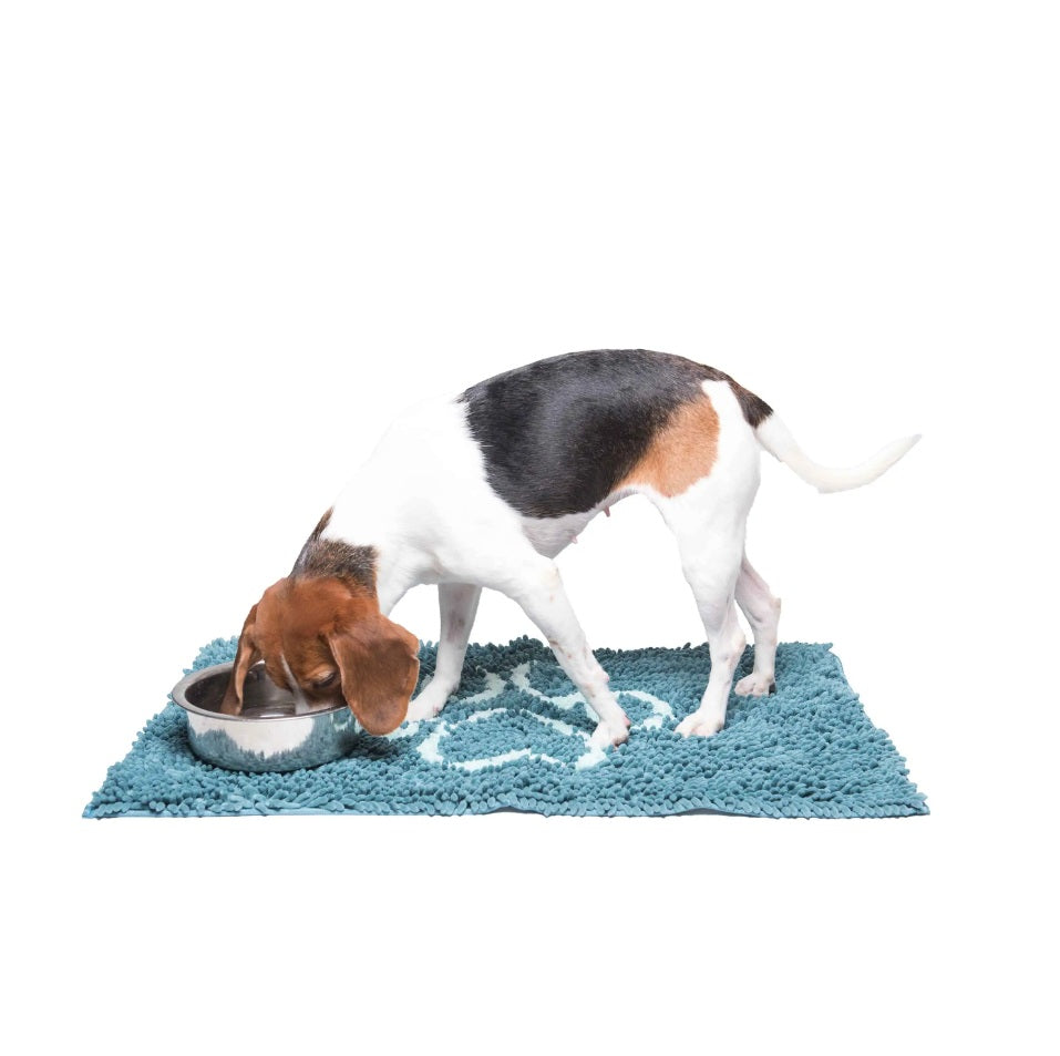 DGS Pet Products Dirty Dog Door Mat Medium Pacific Blue 31 x 20 x 2 For Pet With Love