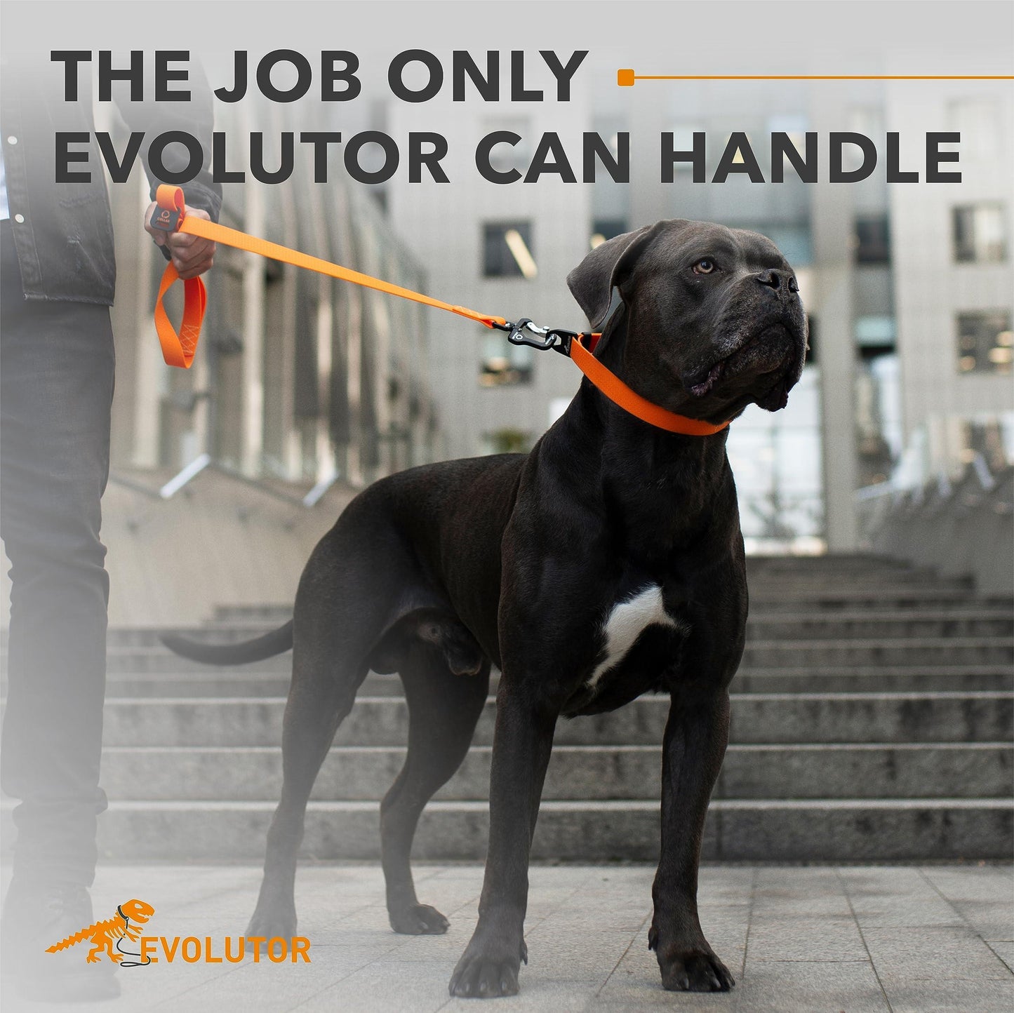 COLLAR Extra Heavy Duty Durable EVOLUTOR Dog Leash. 10 Ft (Orange) For Pet With Love