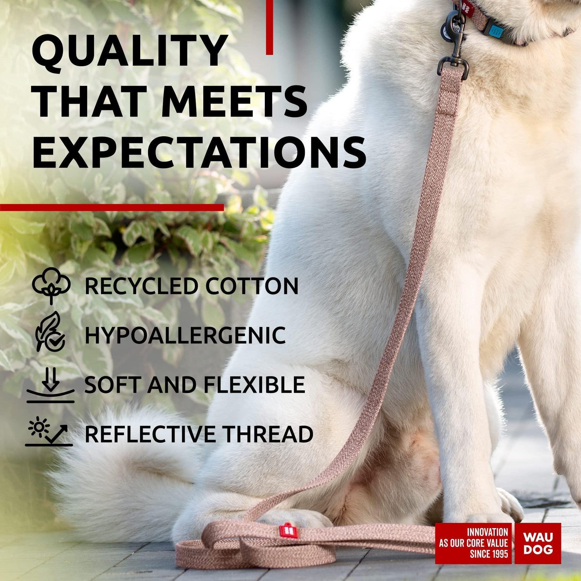 Recycled Cotton Dog Leash 6 Ft   10 Ft Eco Friendly Collar for Small Medium & For Pet With Love