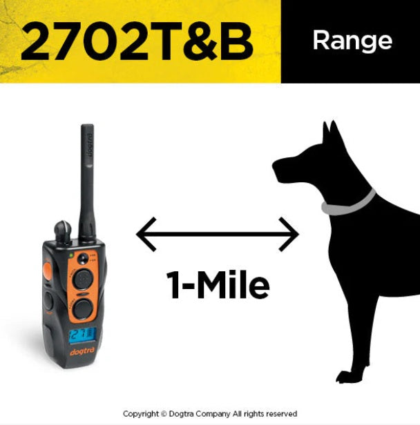 Dogtra Training and Beeper 1 Mile 2 Dog Remote Trainer For Pet With Love