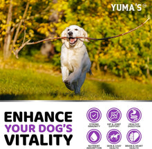 Load image into Gallery viewer, YUMA'S Dog 23 IN 1 Multivitamin Chewable Hip &amp; Joint Supplement with Glucosamine 170 Treats

