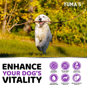 YUMA'S Dog 23 IN 1 Multivitamin Chewable Hip & Joint Supplement with Glucosamine 170 Treats