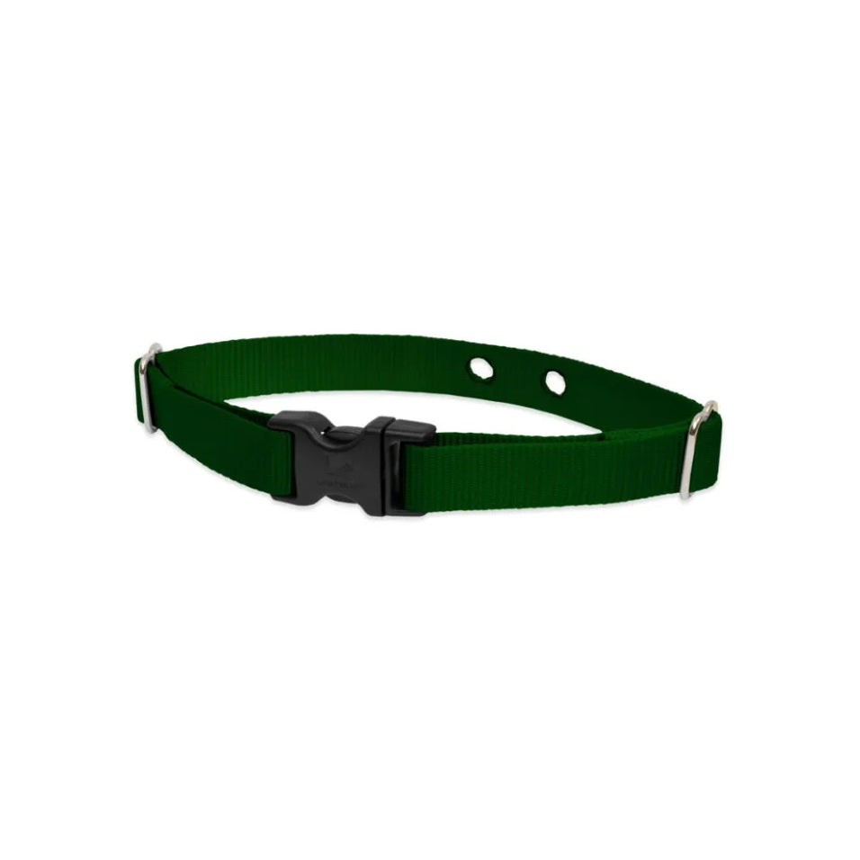 Lupine Pet 2 Hole Adjustable Nylon Replacement Collar Strap 3/4 inch - MEDIUM For Pet With Love