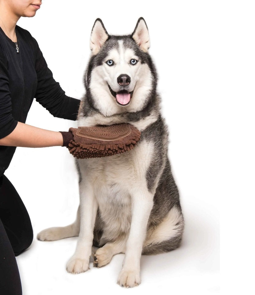 DGS Pet Products Dirty Dog Grooming Mitt Brown 10 x 7 x 1 For Pet With Love