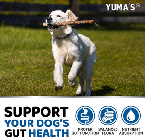 YUMA'S Probiotic and Prebiotic Digestive Enzymes for Dogs  170 Chews
