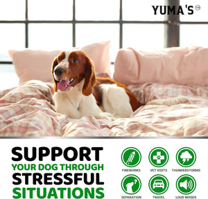 YUMA'S Hemp Calming Anxiety Relief & Stress Relief for Dogs (2 Pack) 340 Chews