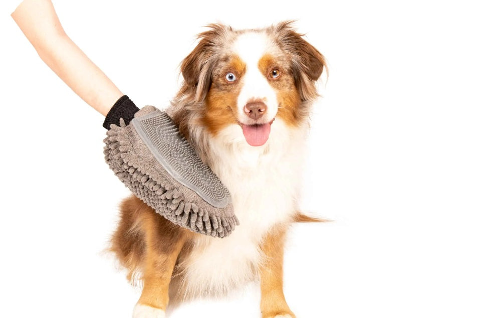 DGS Pet Products Dirty Dog Grooming Mitt Grey 10 x 7 x 1 For Pet With Love