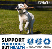 Load image into Gallery viewer, YUMA&#39;S Probiotic and Prebiotic Digestive Enzymes for Dogs  170 Chews
