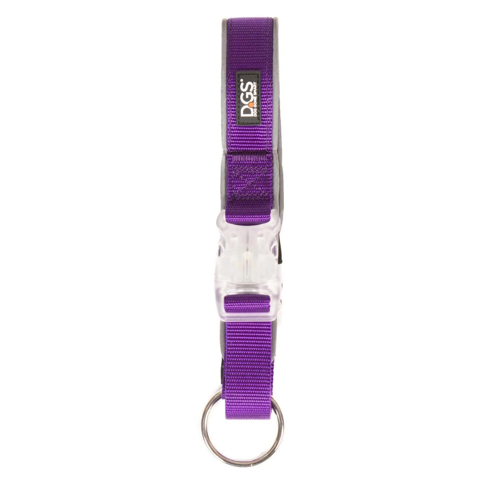 DGS Pet Products Comet Rechargeable Light Up Dog Collar Medium Purple 16 - 20 x 0.75 For Pet With Love