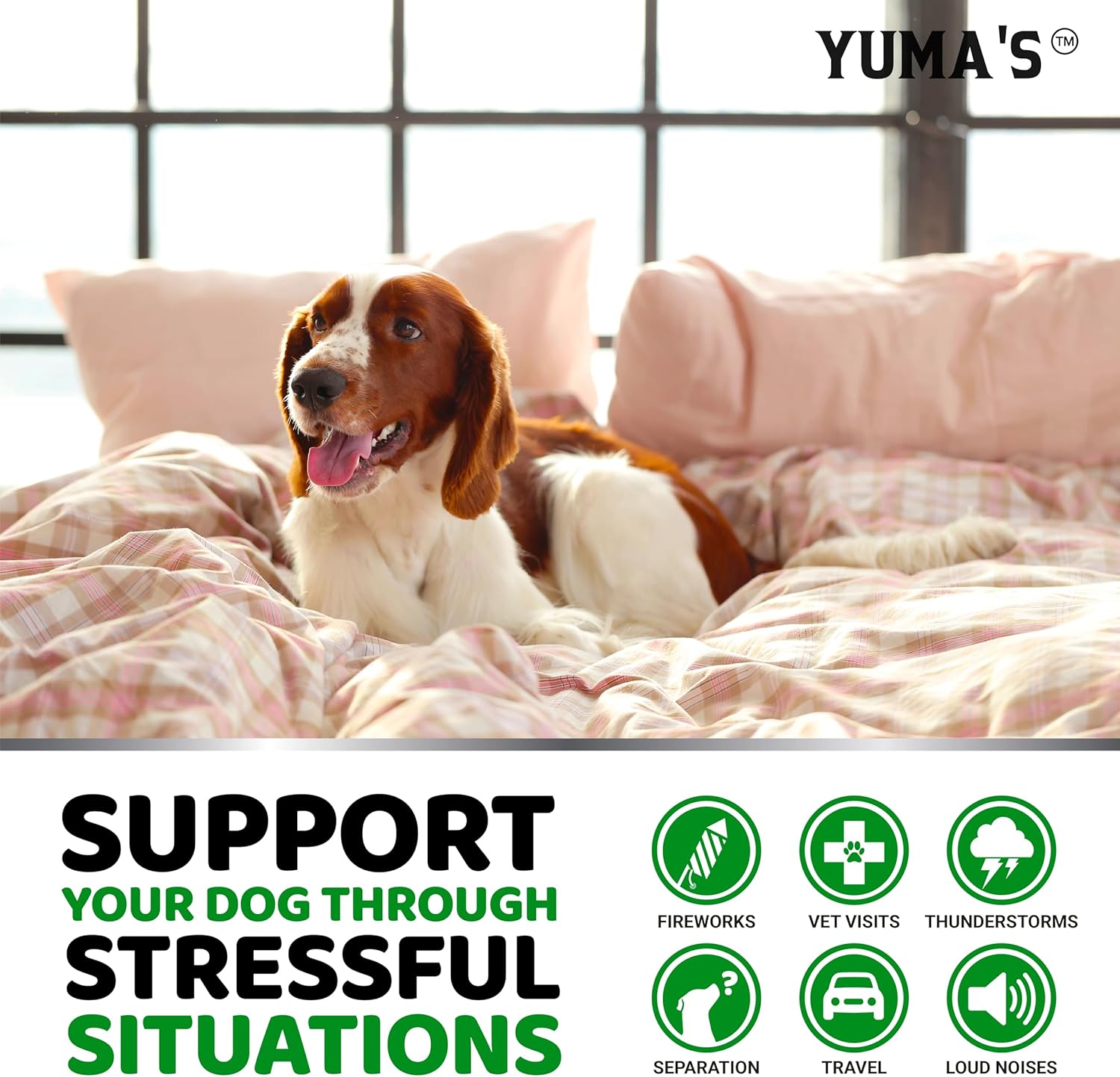 YUMA'S Advanced Strength Hemp Stress & Anxiety Relief Calming Chews for Dogs. Hip & Joint Support Supplemen. Beef Liver Flavor. 170 Chews For Pet With Love