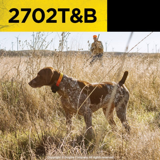 Dogtra Training and Beeper 1 Mile 2 Dog Remote Trainer For Pet With Love