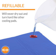 Load image into Gallery viewer, K&amp;H Pet Products Coolin Pet Pad Large Blue 20 x 36 x 0.75 For Pet With Love
