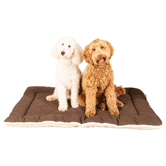 DGS Pet Products Pet Cotton Canvas Sleeper Cushion Extra Large Espresso 28 x 42 x 1 For Pet With Love