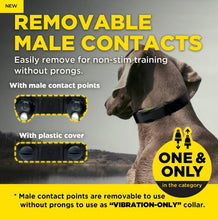 Load image into Gallery viewer, Dogtra ARC-X 3/4 Mile Expandable Remote Trainer For Pet With Love
