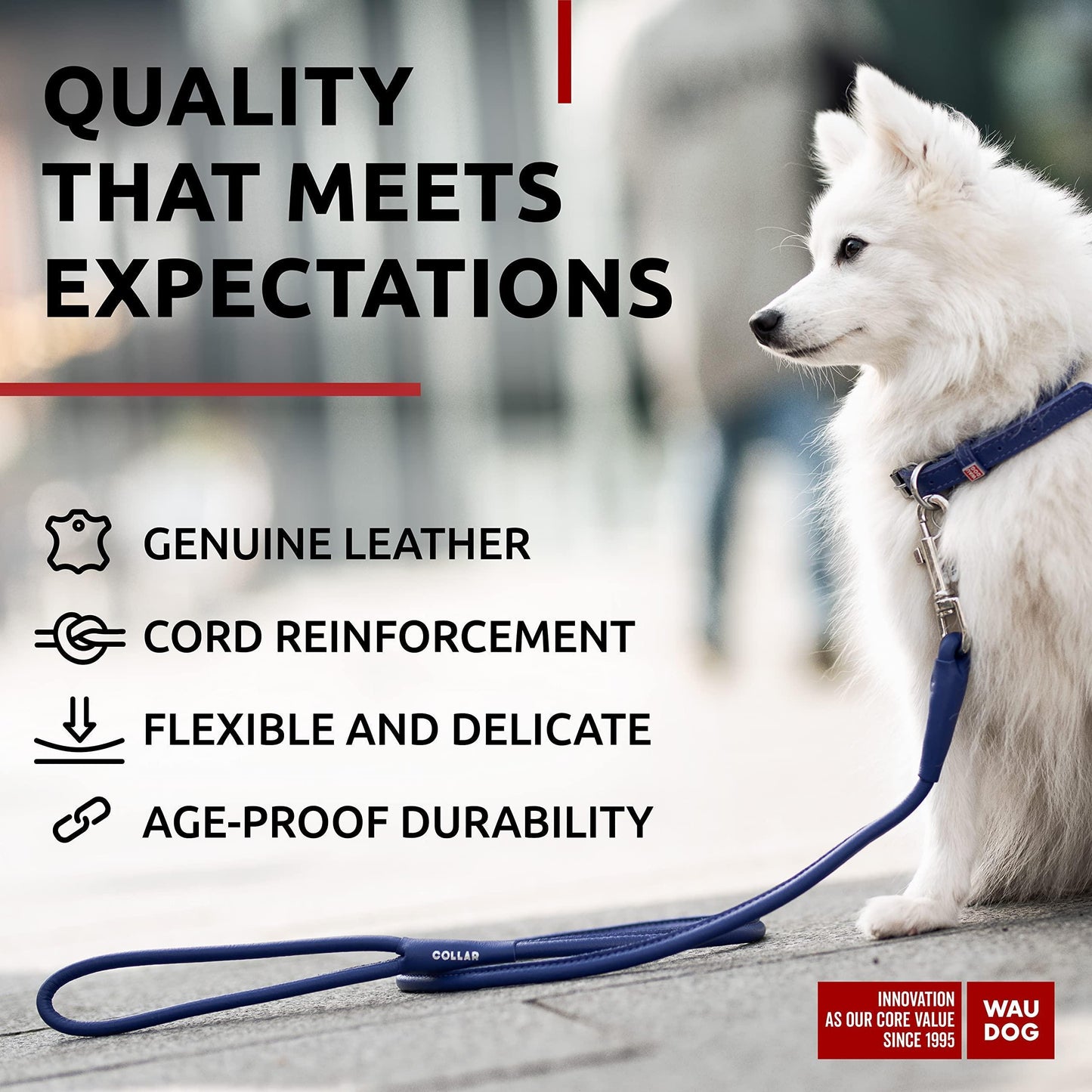 Rolled Leather Dog Leash 4Ft * 0.3 in for Small Medium and Large Dogs   Heavy For Pet With Love