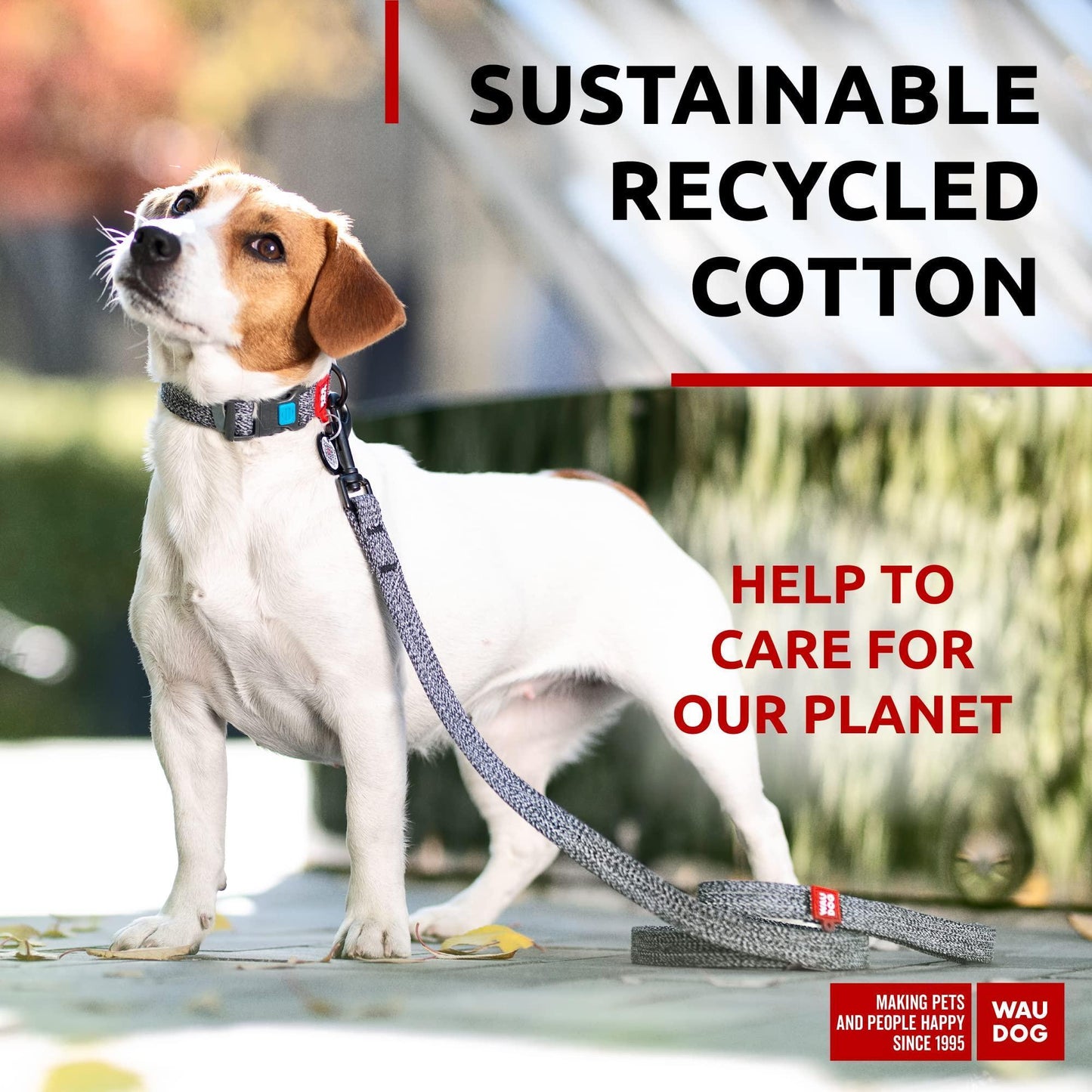 Recycled Cotton Dog Leash 6 Ft   10 Ft Eco Friendly Collar for Small Medium & For Pet With Love
