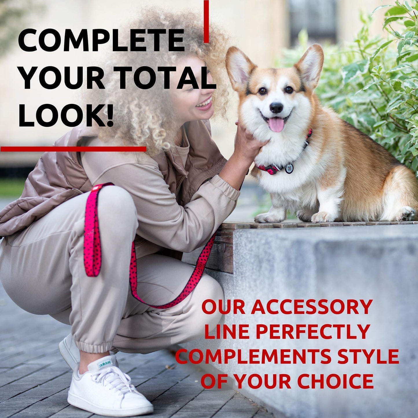 Nylon Dog Leash for Small Dogs and Medium Dogs 4 Ft   Strong Dog Leash for For Pet With Love