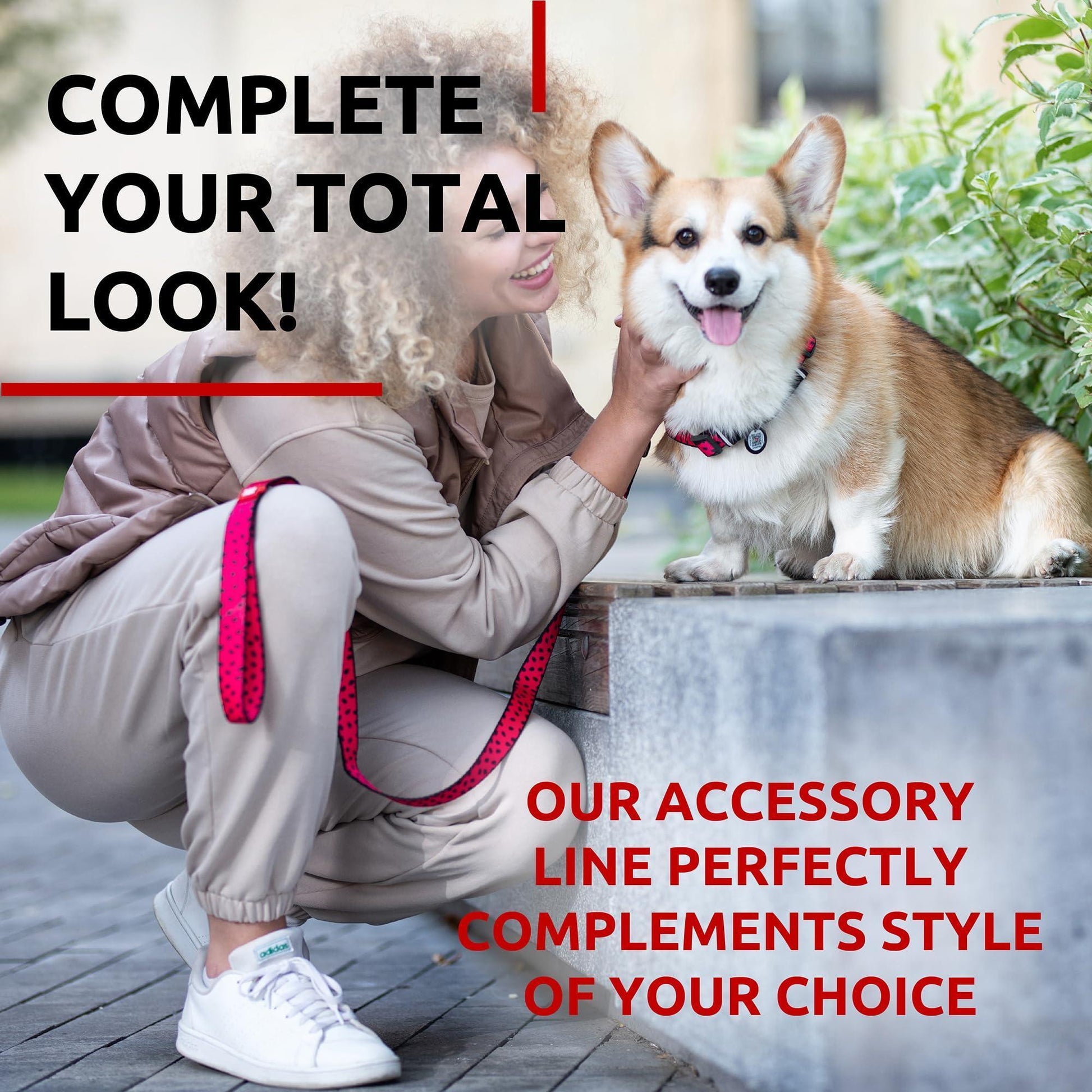 Nylon Dog Leash for Small Dogs and Medium Dogs 4 Ft   Strong Dog Leash for For Pet With Love