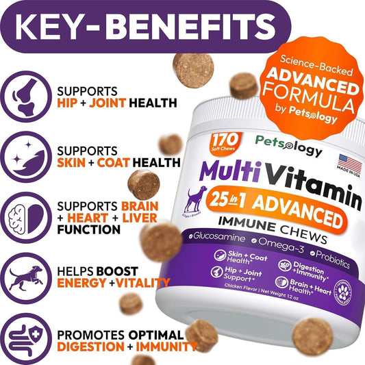 PETSOLOGY Multivitamin Chews for Dogs with Glucosamine, Omega 3 & Probiotics.  (2 Pack) 340 Chews For Pet With Love