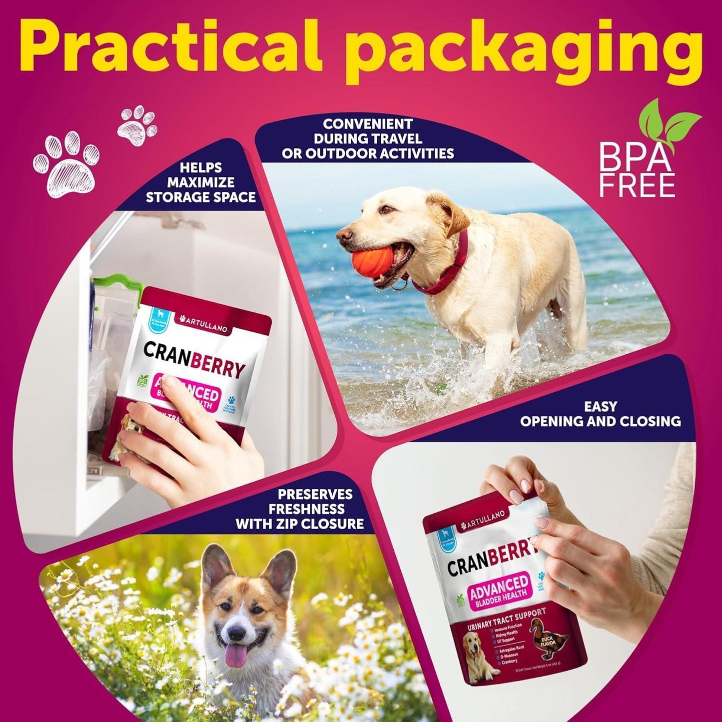 Artullano Cranberry Dog UTI Treatment & Bladder Control, Kidney Support with Fish Oil 70 Chews For Pet With Love
