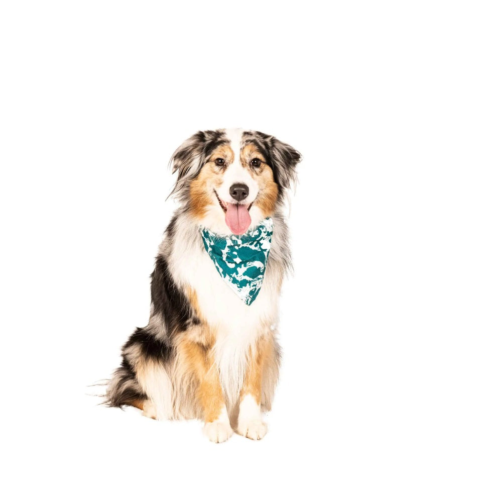 DGS Pet Products Unbugz-It Bandana Large Abstract Teal 13 x 8 x 0.1 For Pet With Love