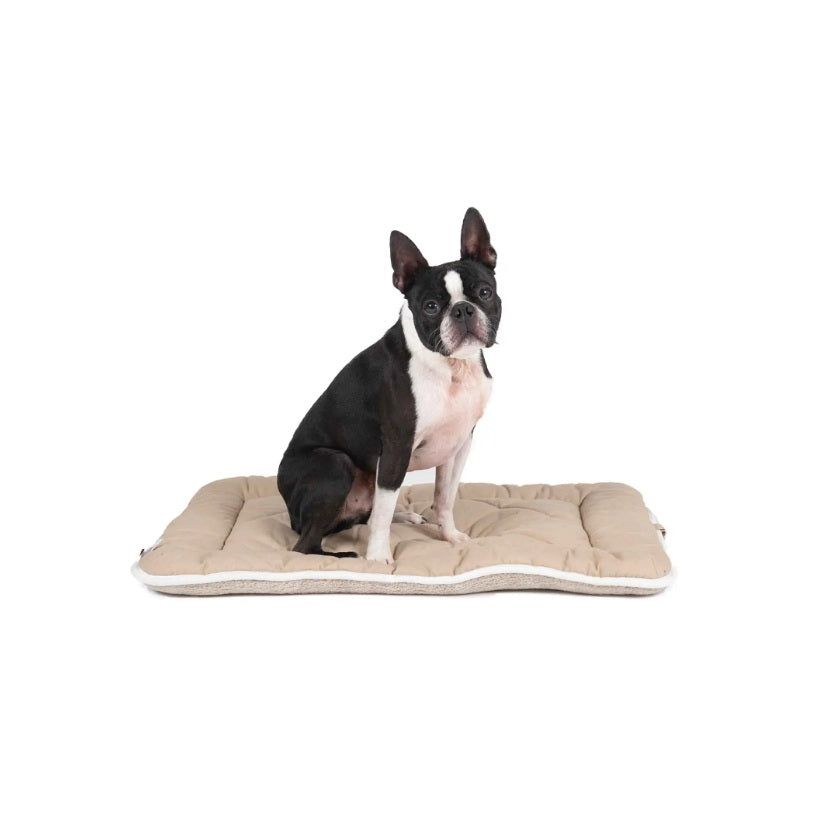 DGS Pet Products Pet Cotton Canvas Sleeper Cushion Extra Extra Large Sand 30 x 48 x 1 For Pet With Love
