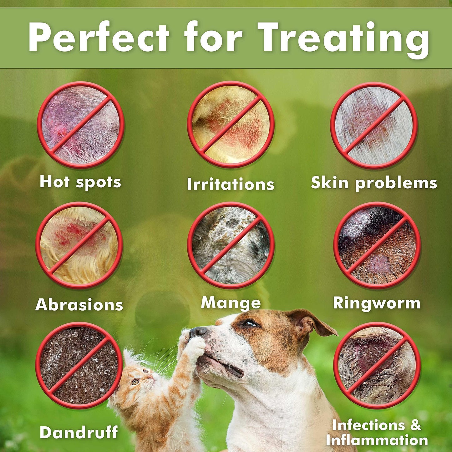 Arava Natural Medicated Anti Yeast Anti Itch Dog Shampoo 400ml (13.5 fl oz) For Pet With Love