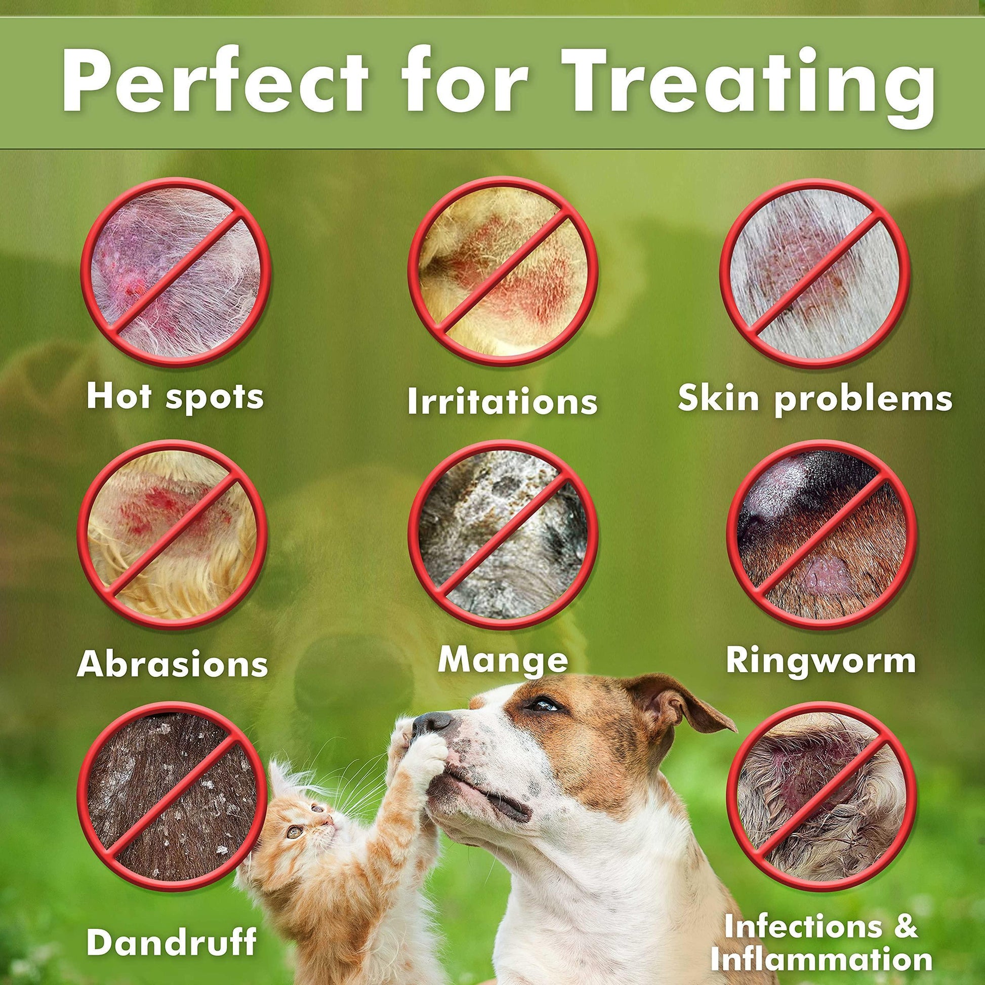Arava Natural Medicated Anti Yeast Anti Itch Dog Shampoo 400ml (13.5 fl oz) For Pet With Love