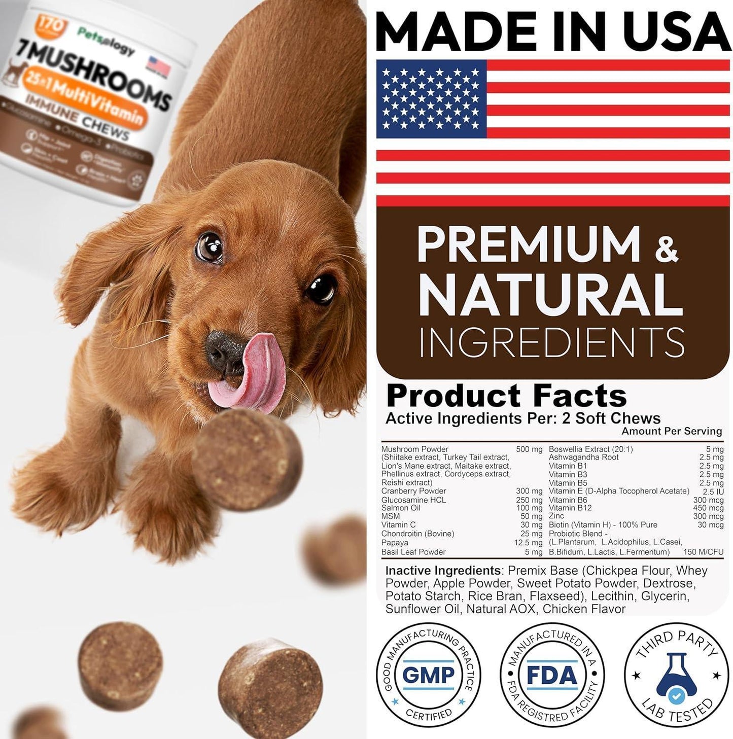 PETSOLOGY Turkey Tail Mushroom and Multivitamin Supplement for Dogs with Glucosamine. 2Pack. 340 Chews. For Pet With Love