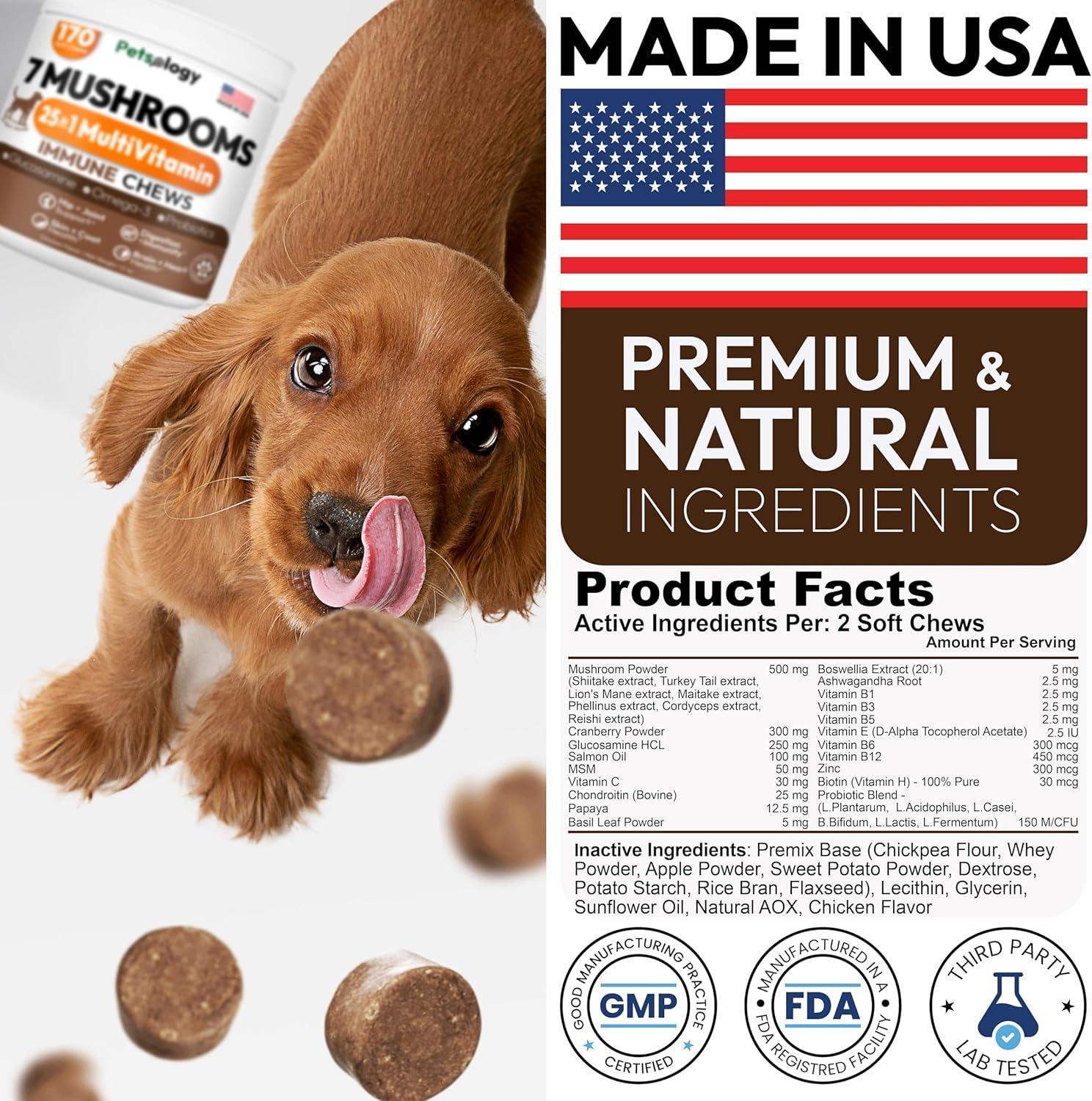 PETSOLOGY Turkey Tail Mushroom and Multivitamin Supplement for Dogs with Glucosamine. 2Pack. 340 Chews. For Pet With Love