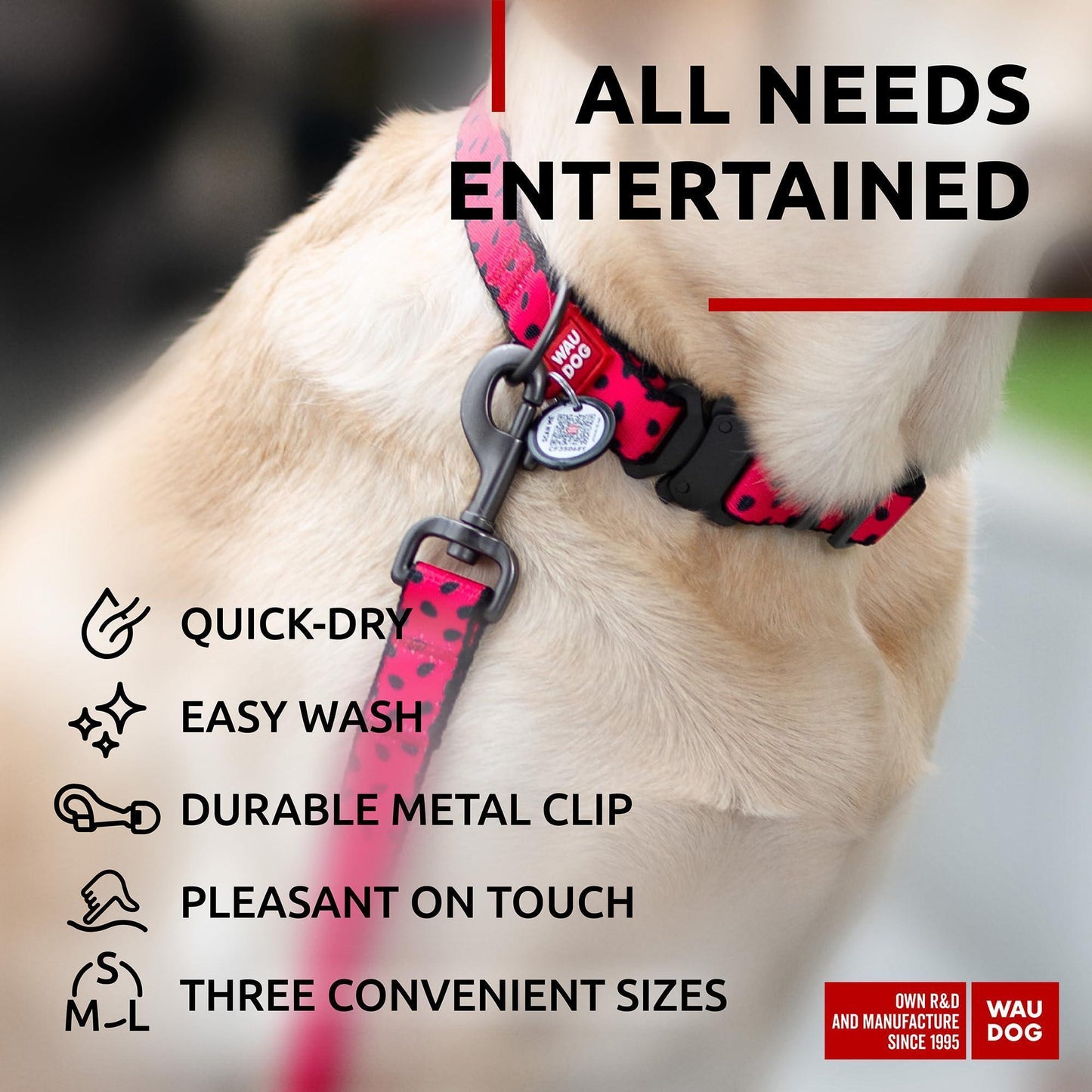 Nylon Dog Leash for Small Dogs and Medium Dogs 4 Ft   Strong Dog Leash for For Pet With Love