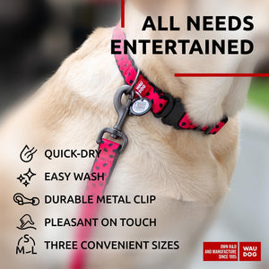 Nylon Dog Leash for Small Dogs and Medium Dogs 4 Ft   Strong Dog Leash for