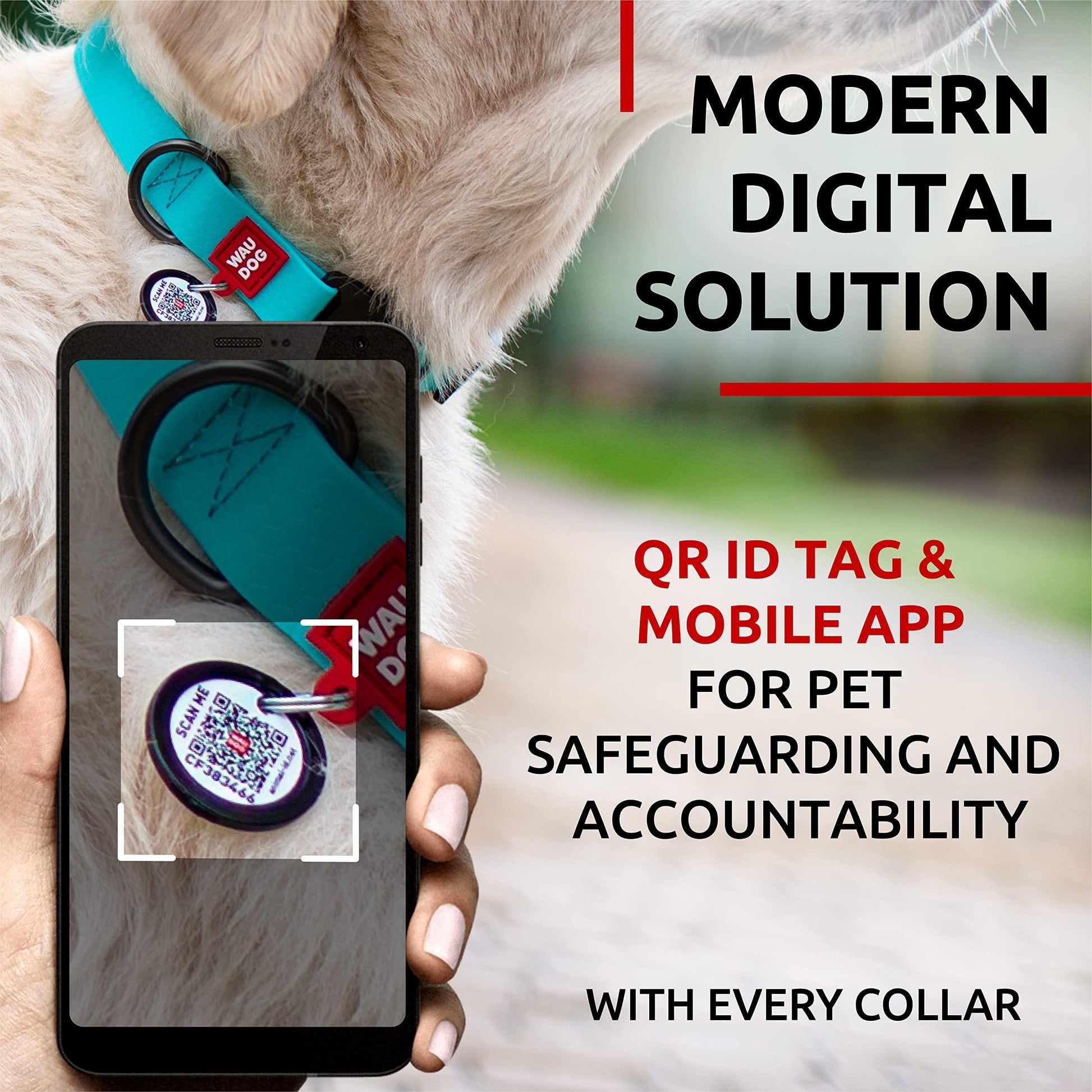 WAUDOG Adjustable Waterproof Glow in the Dark Dog Collar with Plastic Buckle and QR Dog Tag MINT MEDIUM For Pet With Love