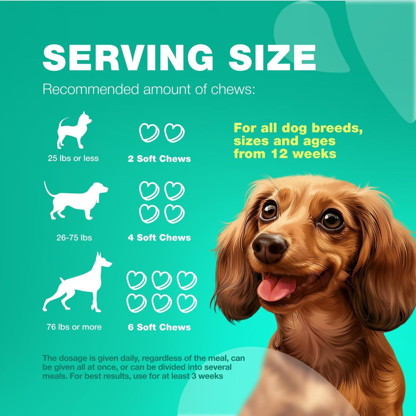 CHEWIA Dog Probiotic Chews with Digestive Enzymes, Pumpkin and Yeast Powder for Gut Health, Digestion Immunity, Yeast Balance, Itchy Skin Allergies Support. 180 Chews. For Pet With Love