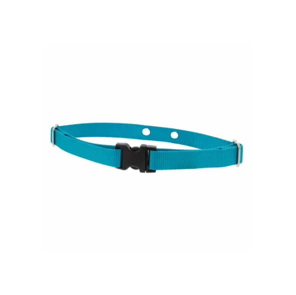 Lupine Pet 2 Hole Adjustable Nylon Replacement Collar Strap 3/4 inch - MEDIUM For Pet With Love