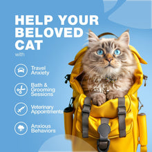 Load image into Gallery viewer, CHEWIA Hemp Calming Care Treats for Cats. Anxiety Relief Melatonin Soft Chews with Hemp Seed Oil and Probiotics (140 Chews)
