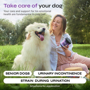 Dog UTI Treatment   Bladder Control Cranberry Chews   Dog Cranberry Supplement