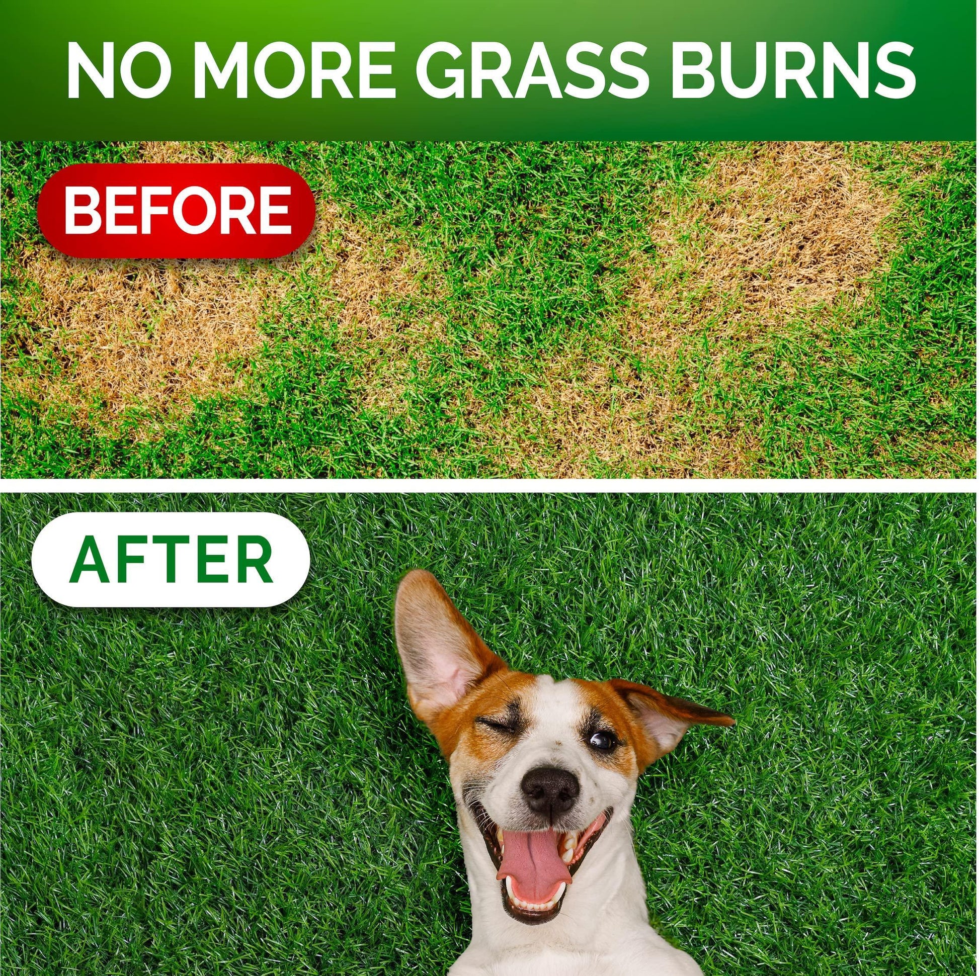 Vet Promise Dog Urine Neutralizer for Lawn with Probiotics Digestive Enzymes 120 Chews For Pet With Love
