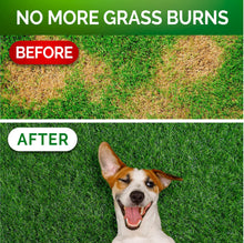 Load image into Gallery viewer, Vet Promise Dog Urine Neutralizer for Lawn with Probiotics Digestive Enzymes 120 Chews
