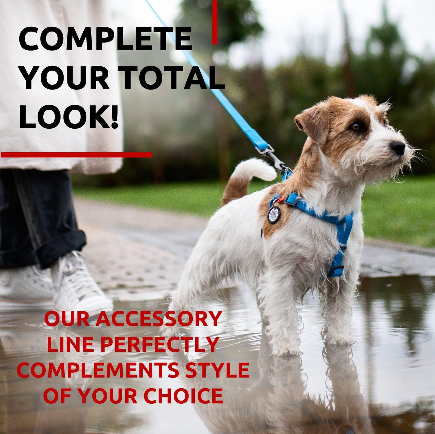 WAUDOG Waterproof Dog Leash 4 Ft   6 Ft   Anti Slip Dog Leash for Large Dogs For Pet With Love