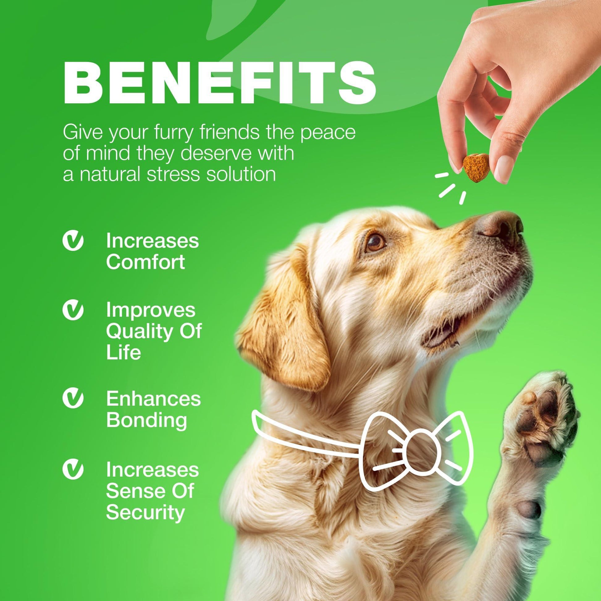 CHEWIA Dog Urine Neutralizer for Lawn w/Probiotics Enzymes & Multivitamins 180Ct For Pet With Love