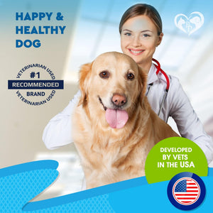 Kennel Cough Treatment and Natural Infection Medicine for Dogs and Cats