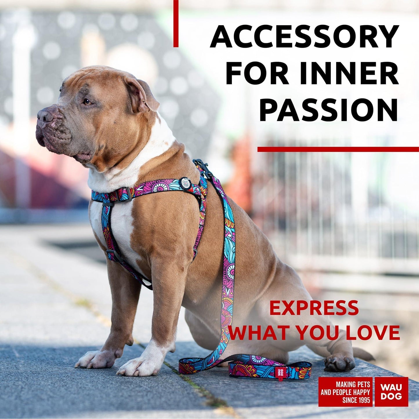 WAUDOG Nylon Dog Leash for Small Dogs and Medium Dogs 4 Ft   Strong Dog Leash For Pet With Love