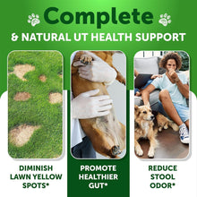 Load image into Gallery viewer, Grass Burn Spot Chews for Dogs Pee  Lawn Spot Saver Caused by Dog Urine
