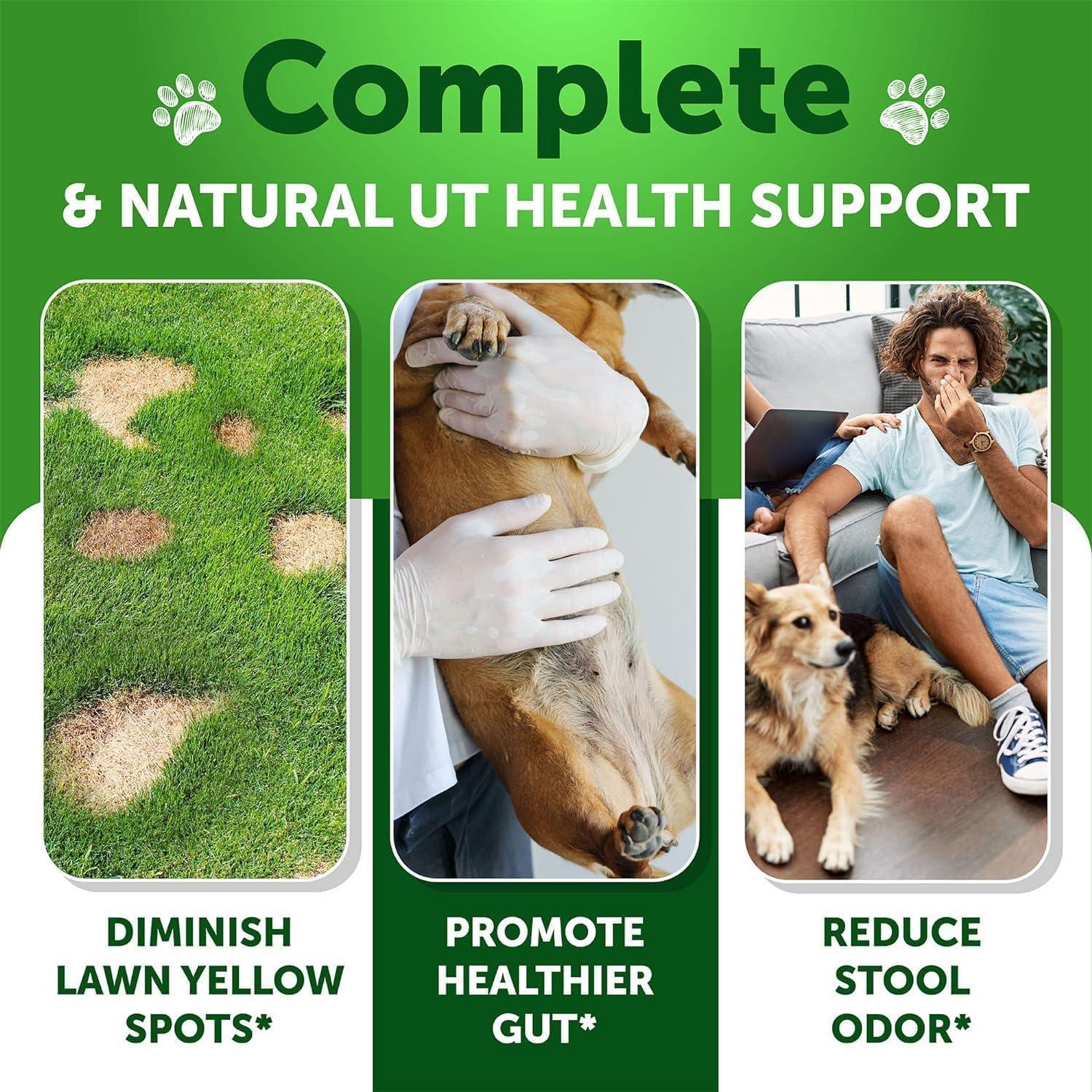 Artullano Dog Probiotics Digestive Enzymes & Urine Neutralizer for Green Lawn 120 Chews For Pet With Love