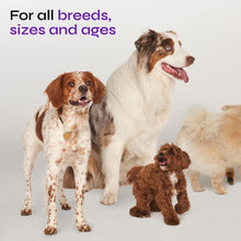 Load image into Gallery viewer, Dog UTI Treatment   Bladder Control Cranberry Chews   Dog Cranberry Supplement
