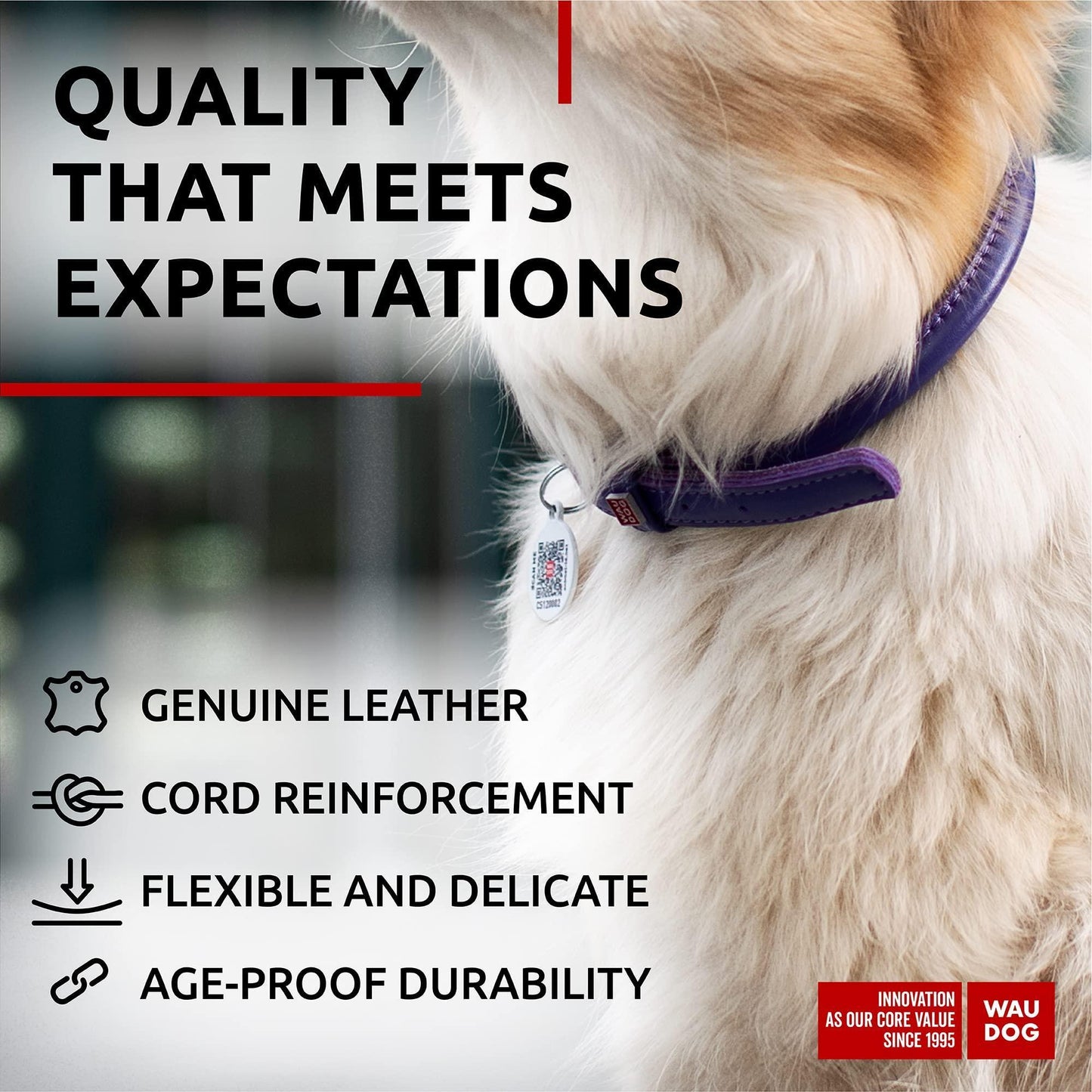 WAUDOG Ultra Soft Rolled Leather Dog Collar for Small Dogs   Soft Padded Dog For Pet With Love