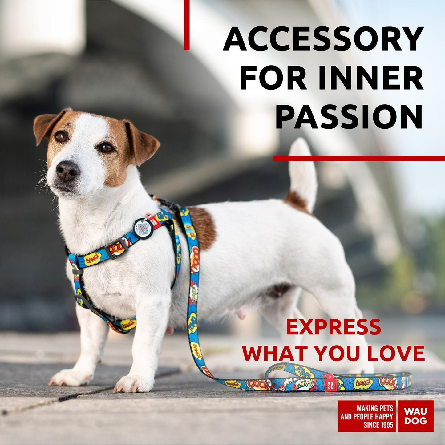Nylon Dog Leash for Small Dogs and Medium Dogs 4 Ft   Strong Dog Leash for For Pet With Love