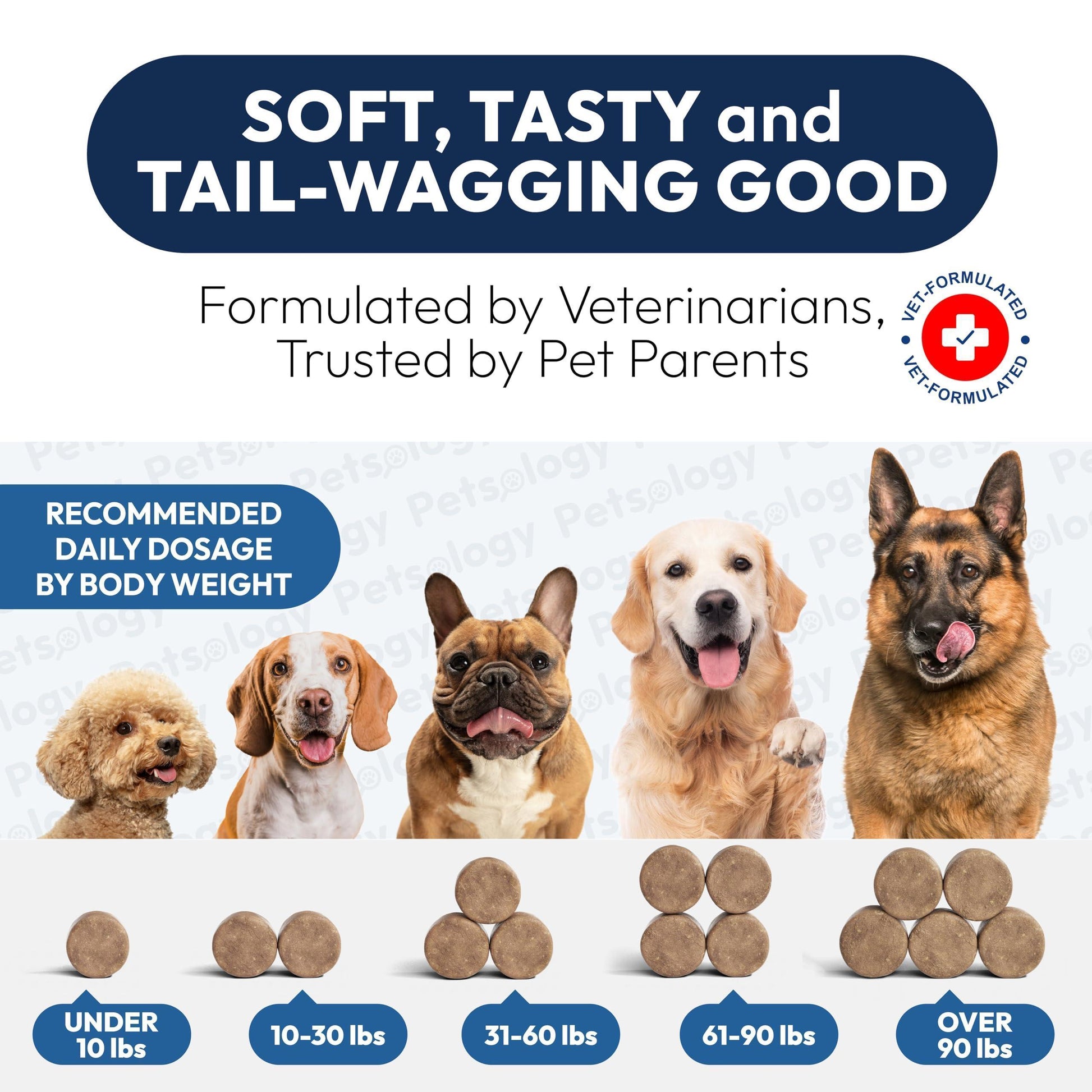 PETSOLOGY Digestive Enzymes & Prebiotics Supplement for Dogs 170 Chews For Pet With Love